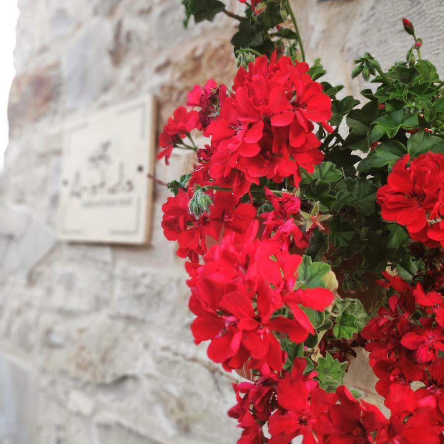 Country house Aristidis's Moires